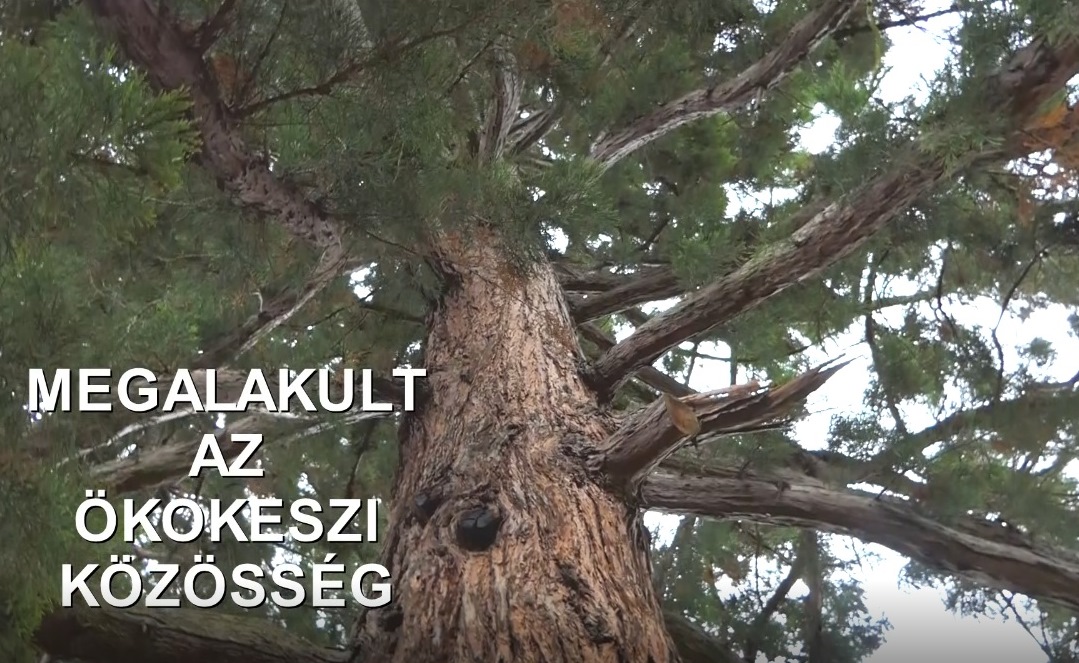 Megalakult az Ökokeszi közösség