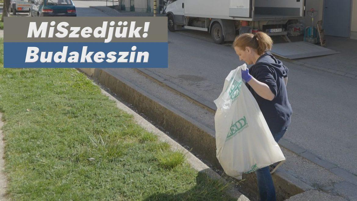 A közös munka nemcsak hasznos, de közösségépítő erővel is bír – MiSzedd Budakeszin