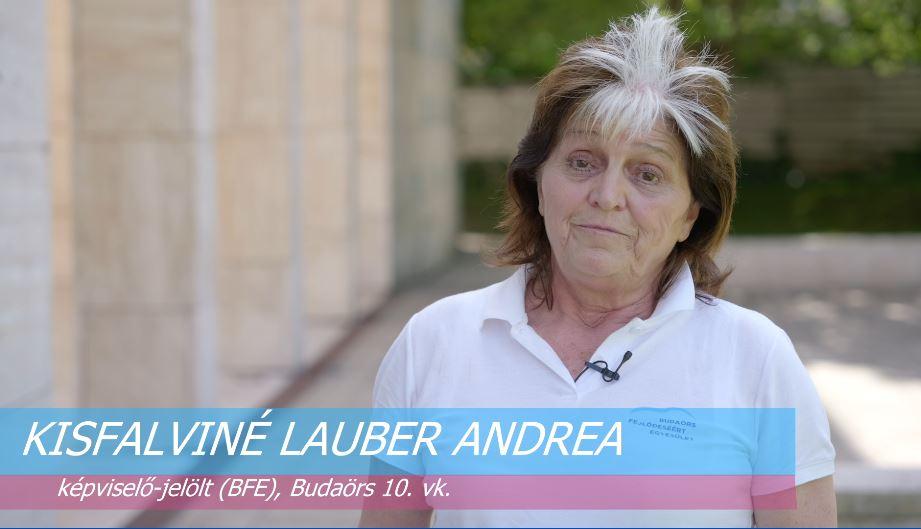Kisfalviné Lauber Andrea (BFE) képviselő-jelölt, Budaörs 10. vk.