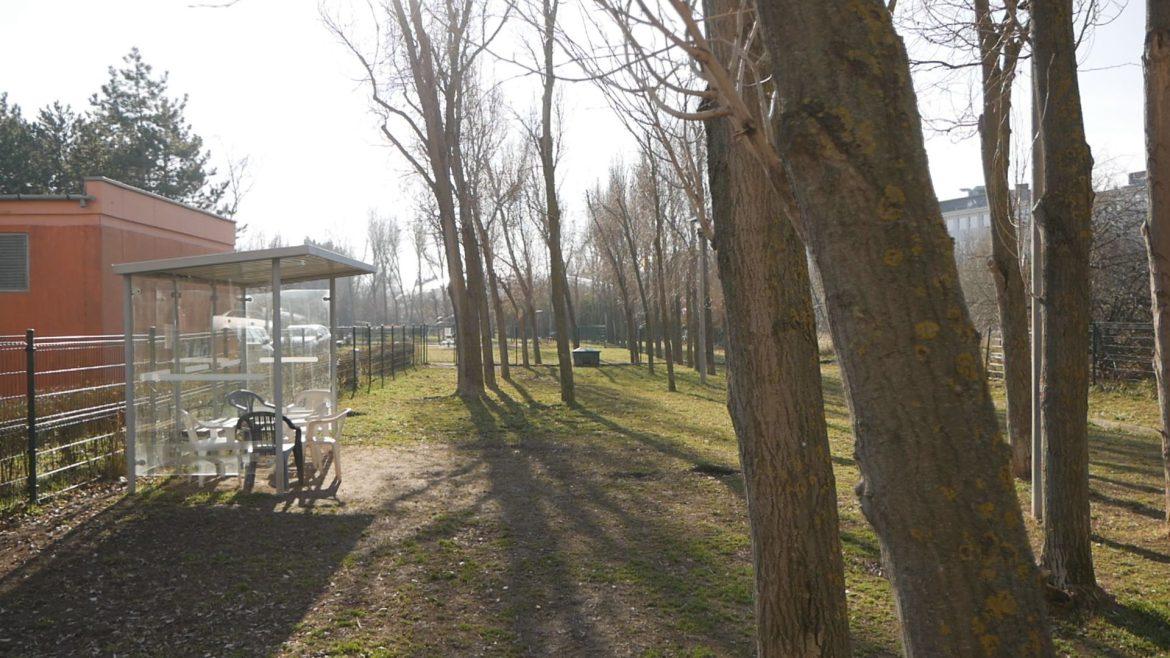 Tisztántartott kutyafuttatók
