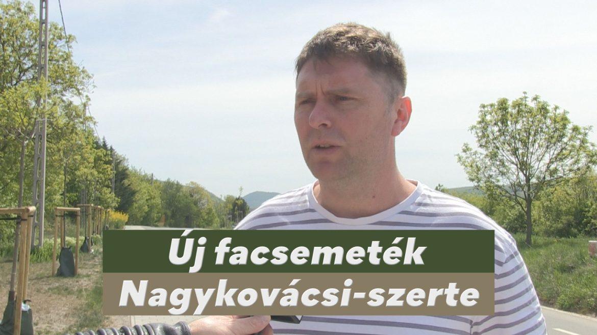 Nagykovácsi-szerte új facsemeték