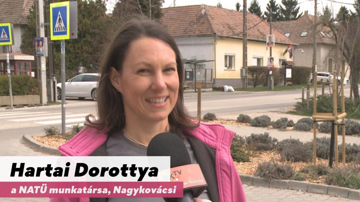 Nagykovácsi kizöldült
