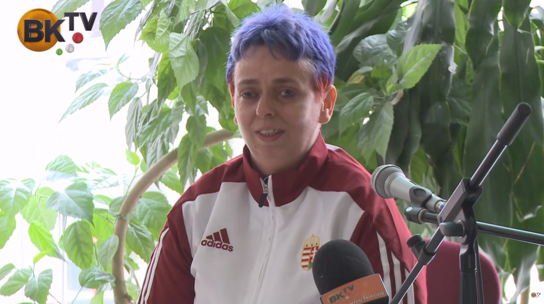Mezei Katalin budakeszi paralimpikon előadása