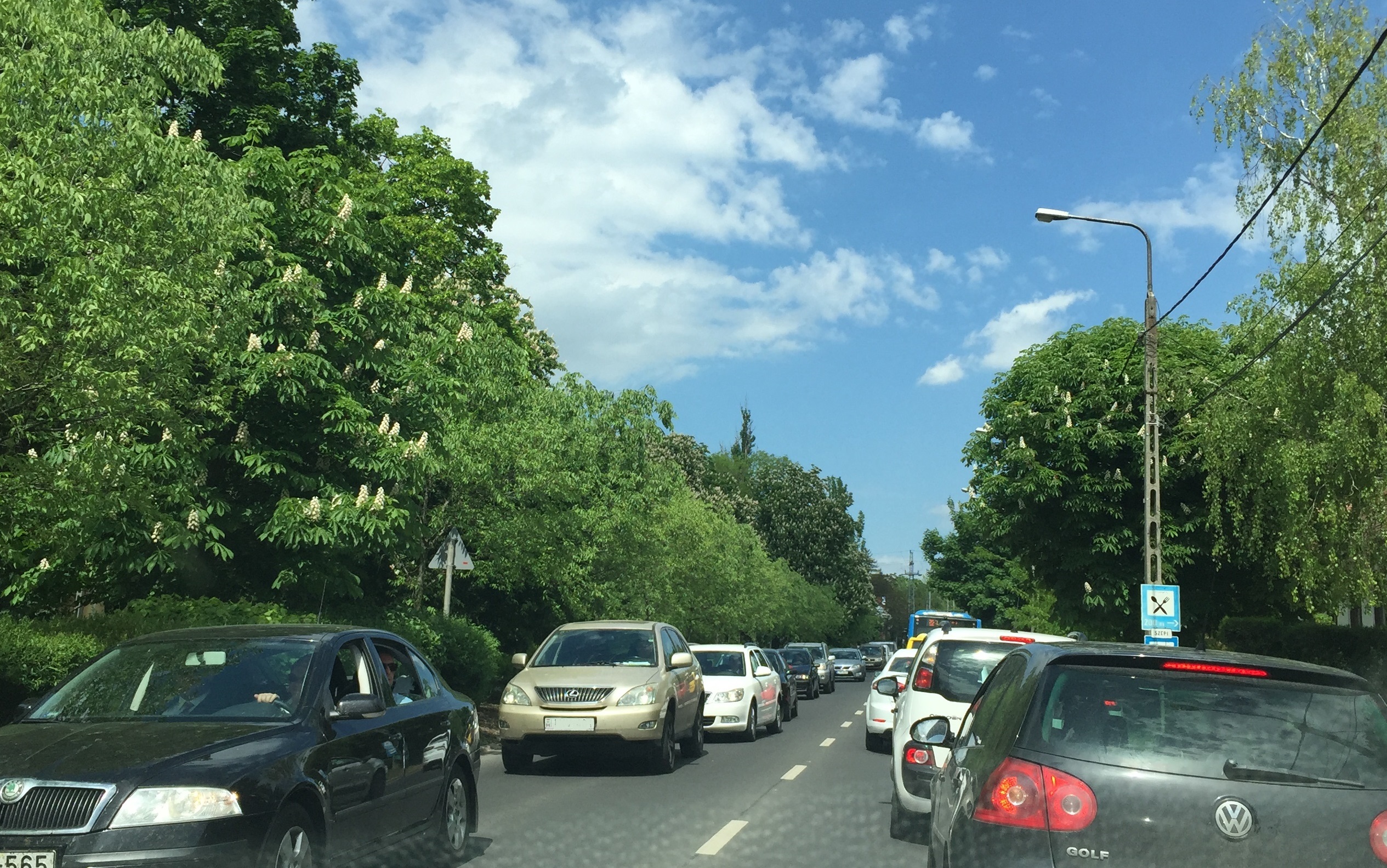 Buszsáv lesz Budakeszin, felére csökkenhet a menetidő